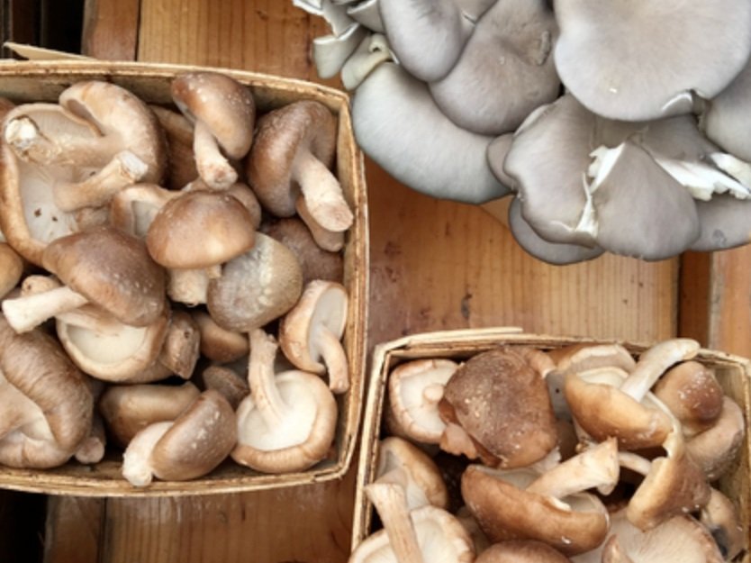Fresh mushrooms displayed in wooden baskets, featuring a variety of shiitake and oyster mushrooms, perfect for culinary use.